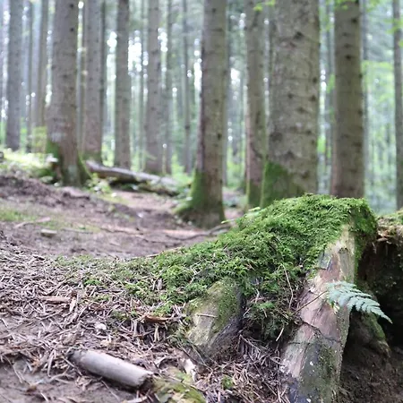 Hotel львів Skhidnytsia