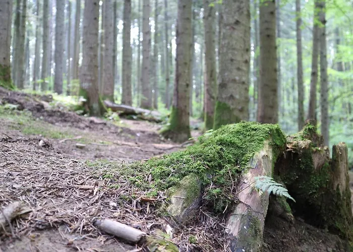 فندق львів Skhidnytsia